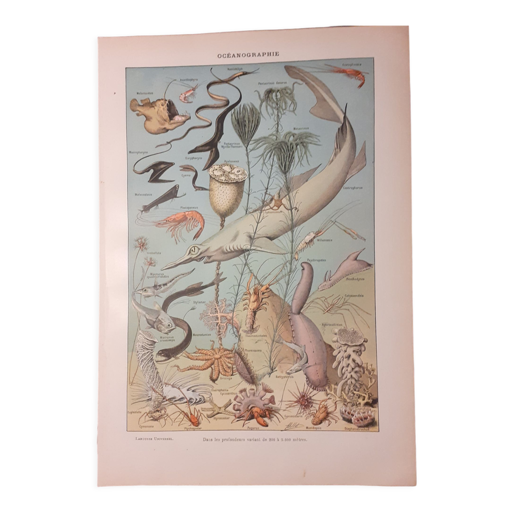 Lithographie sur l'océanographie de 1922 | Selency