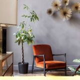 Floating Velvet Armchair Fox Red Edition