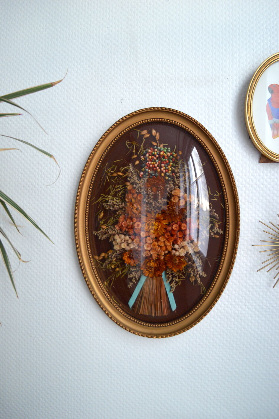 Frame of dried flowers under domed glass