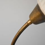 Floor lamp with two points of light