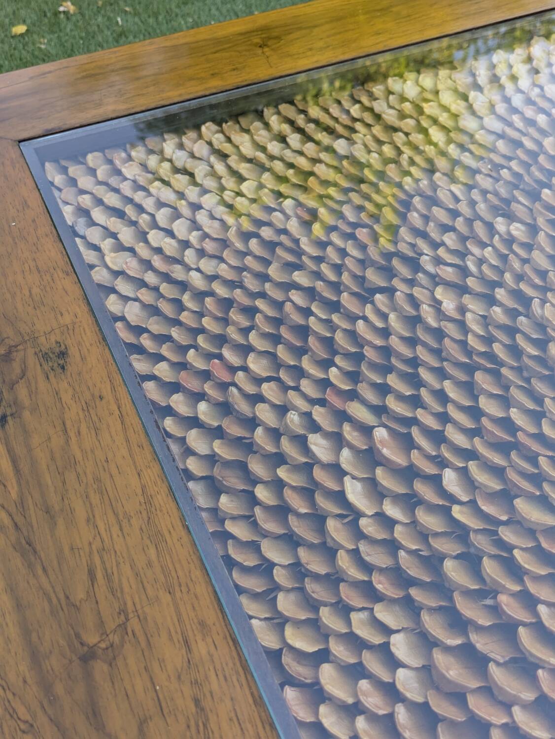 Roméo Rega Coffee Table, Pine Scales, Vintage 1970 Design