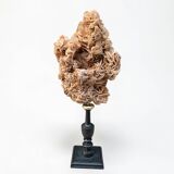 Sand rose on a turned black wooden base, late 19th century curiosities.