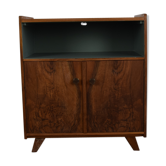 Buffet wood and green geko