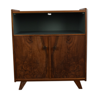 Buffet wood and green geko