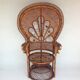Armchair Emmanuelle Peacock
