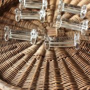 A set of 6 transparent trilobite glass knife rests.