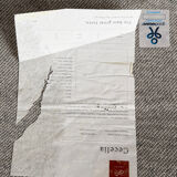 Tapis Loloi — Collection Cecelia — 241 x 304 cm