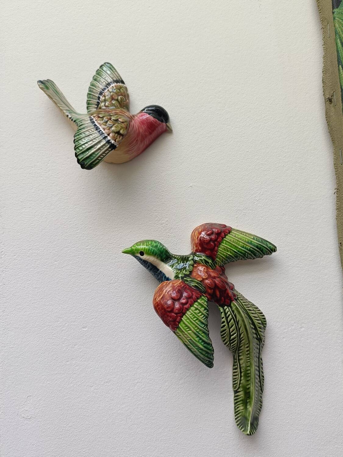 Two exotic birds in slip to hang