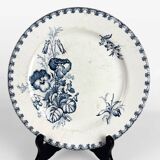 5 mismatched plates Terre de fer 1900