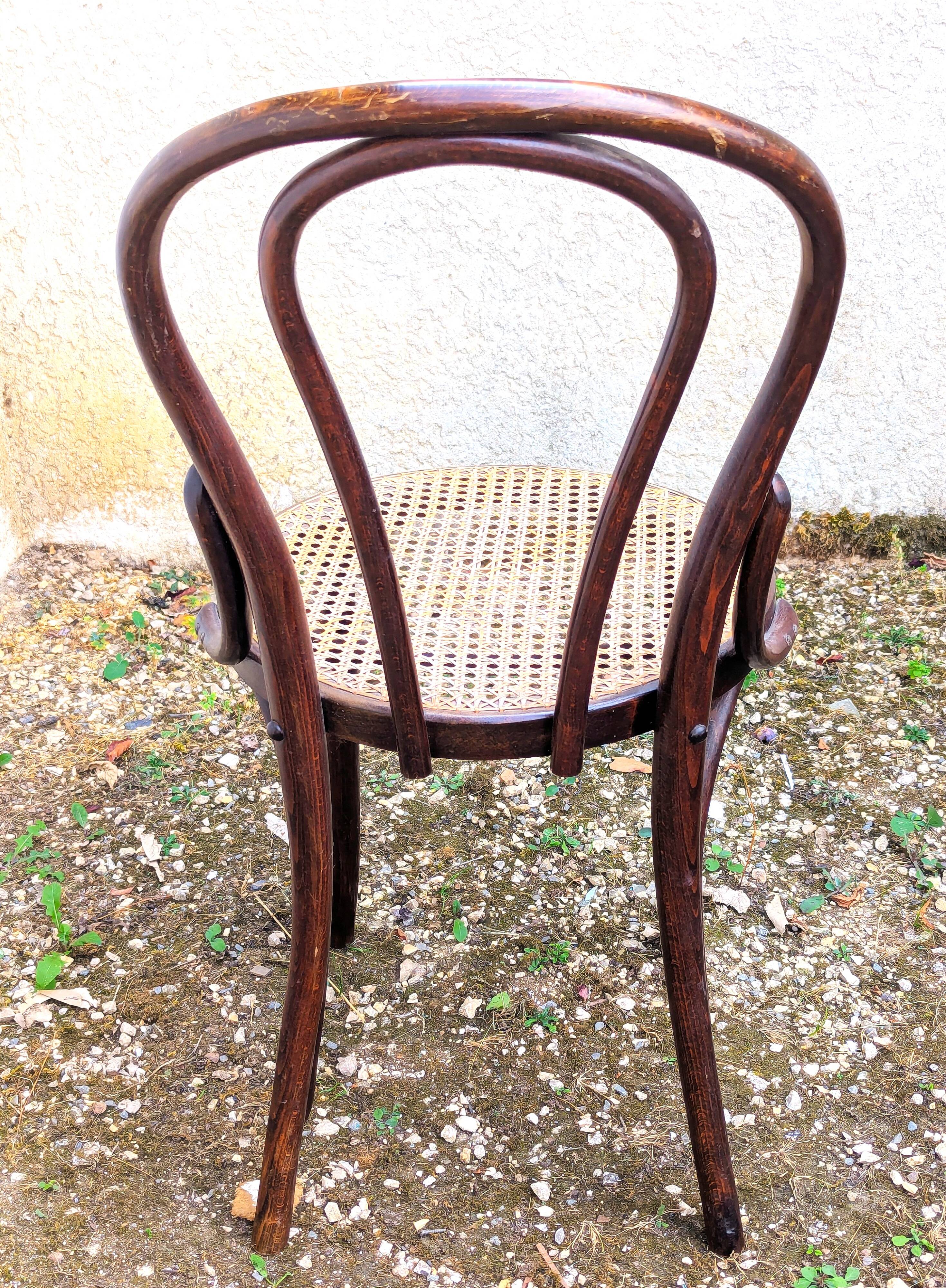 Two Thonet chairs Romania model Charlie Chaplin from the 1950s/60s.