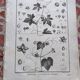 Stamped vintage botanical engraving plate natural history flowers