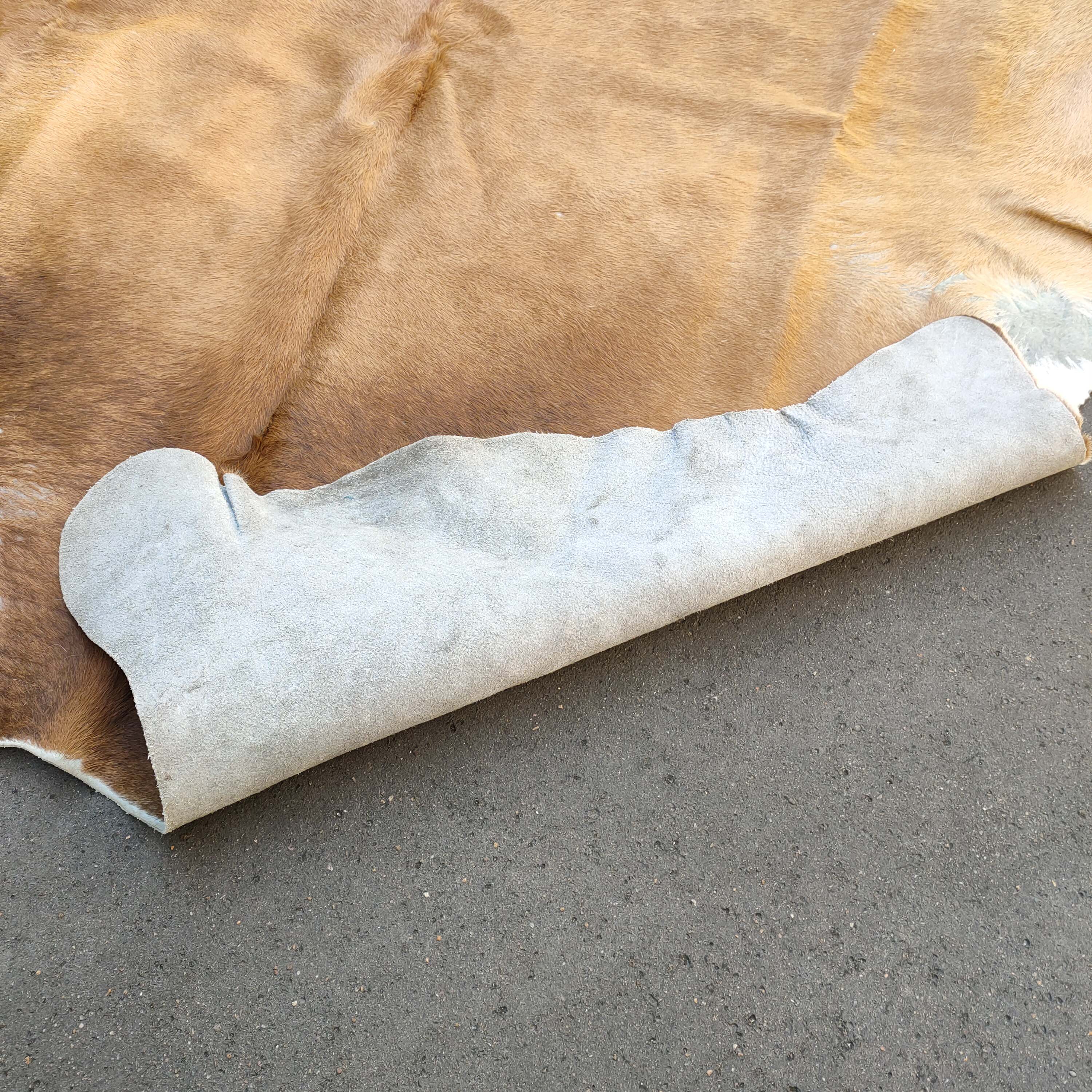 Large Cow skin 200x200cm