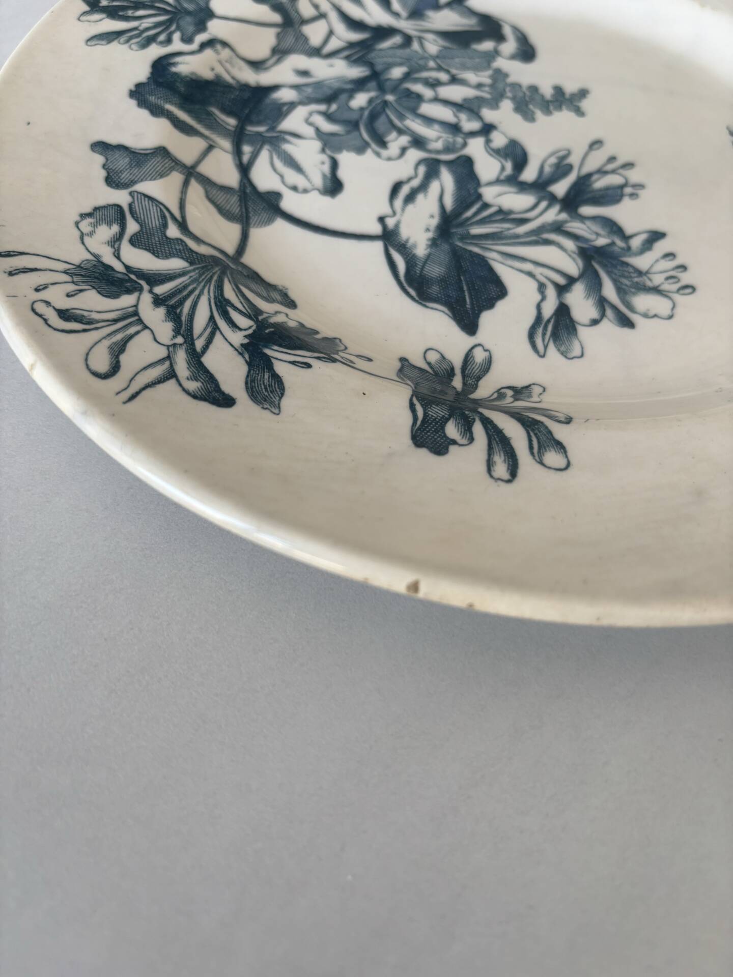 Flat plate, ironstone, Sarreguemines, blue flower - antique earthenware.