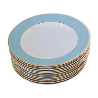 Lot of 11 hollow plates L'Amandinoise