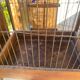 Cage à oiseaux ancienne en bois