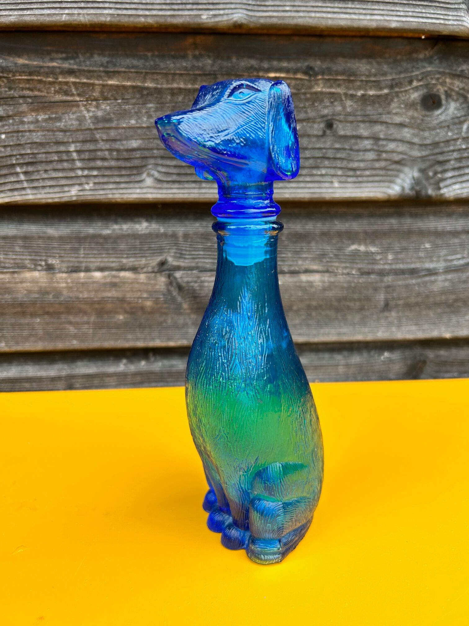 Italian bottle dog polite