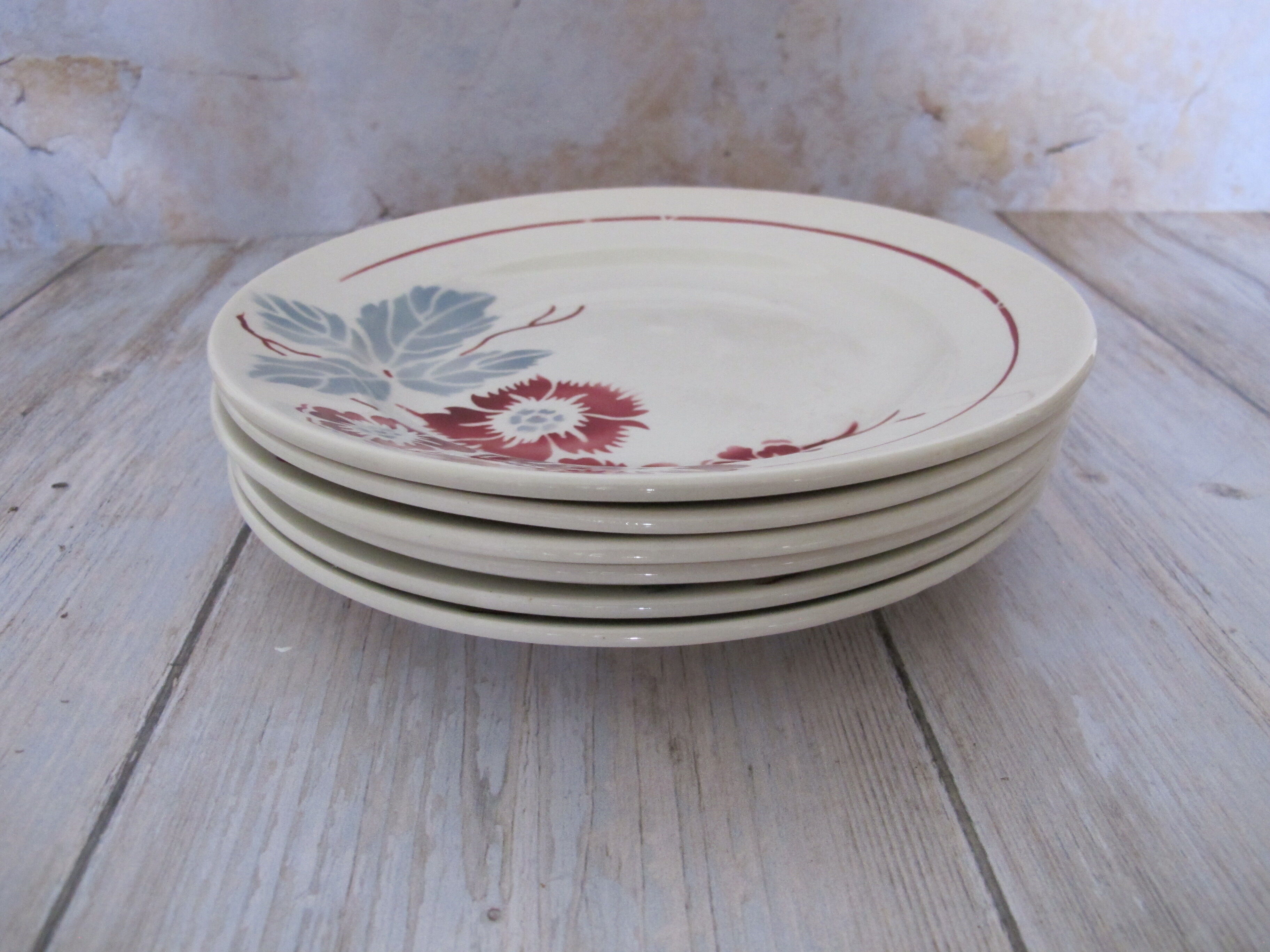 6 Digoin Sarreguemines plate of earthenware