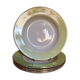 Set of 5 plates in earthenware st Amand