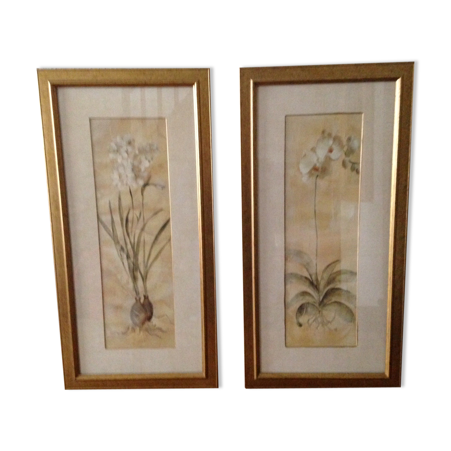 Orchid prints in golden Laura Ashley