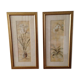 Orchid prints in golden Laura Ashley