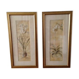 Gravures orchidée dans cadre doré Laura Ashley