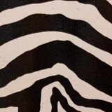 Restored chest of drawers with zebra tapestry 20th century