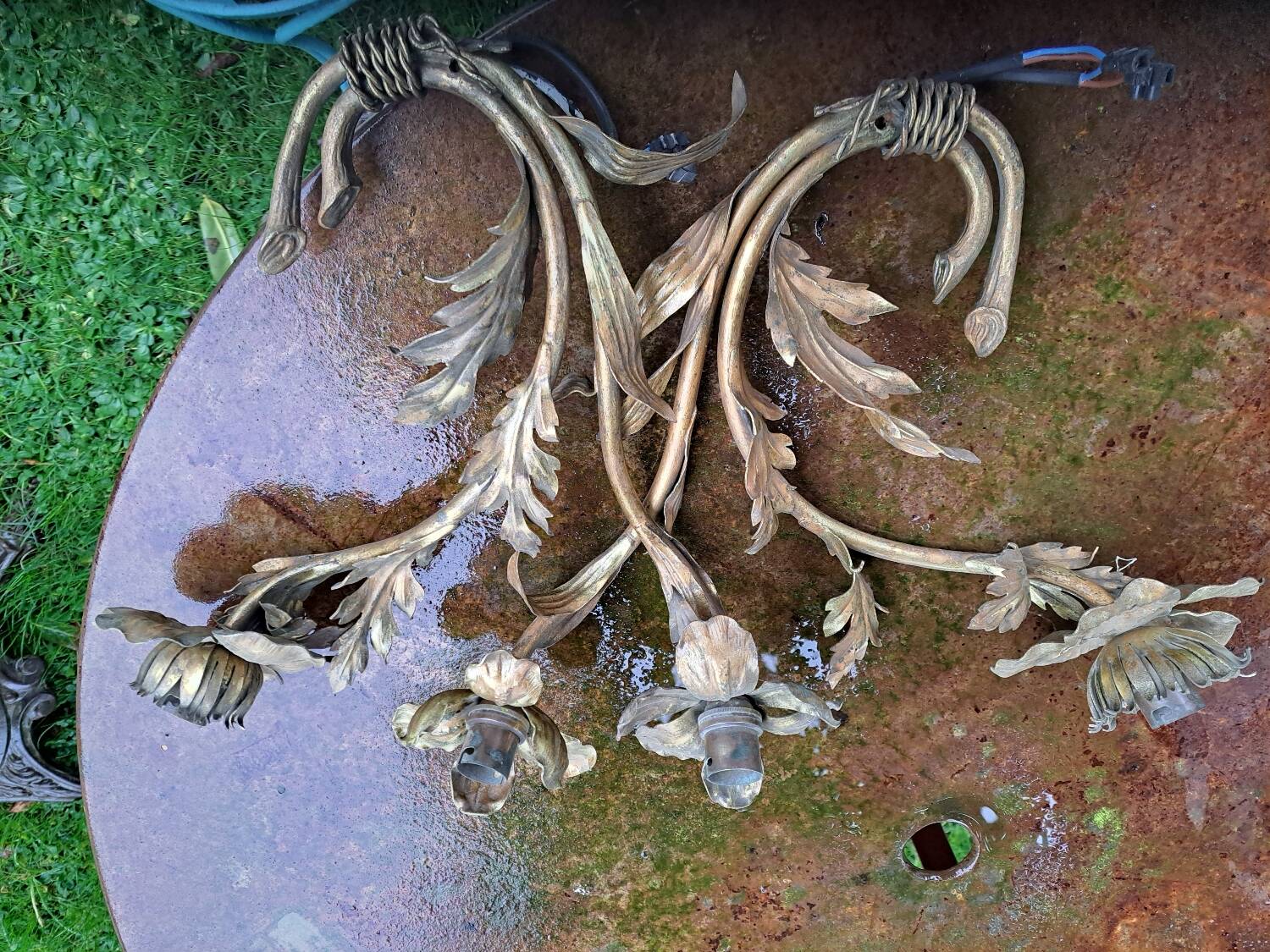 Gilded brass flower wall light