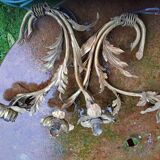 Gilded brass flower wall light