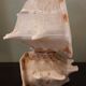 Lampe coquillage