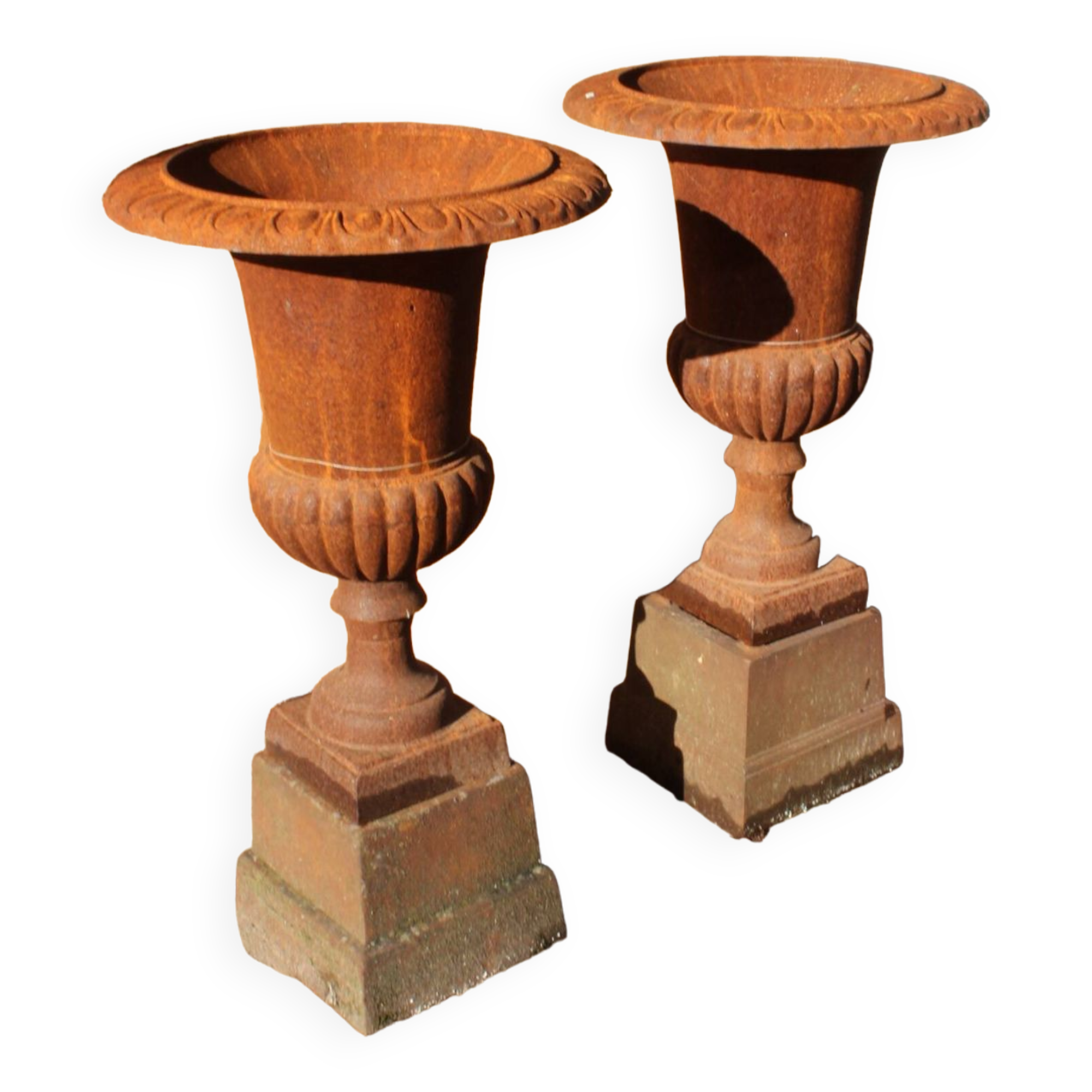 Pair of Medici vases