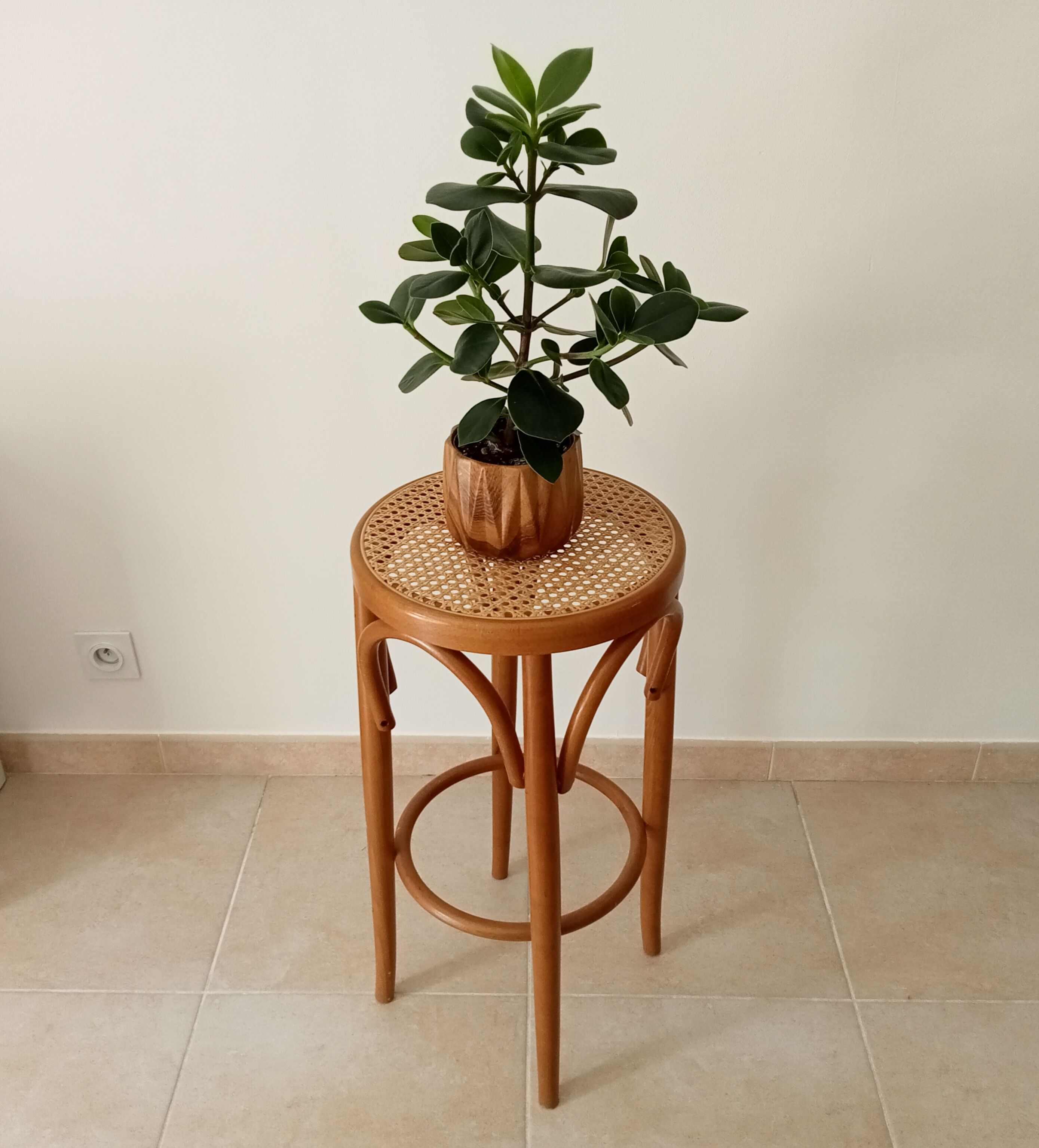 Vintage curved wooden high stool and tanned seat