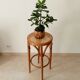 Vintage curved wooden high stool and tanned seat