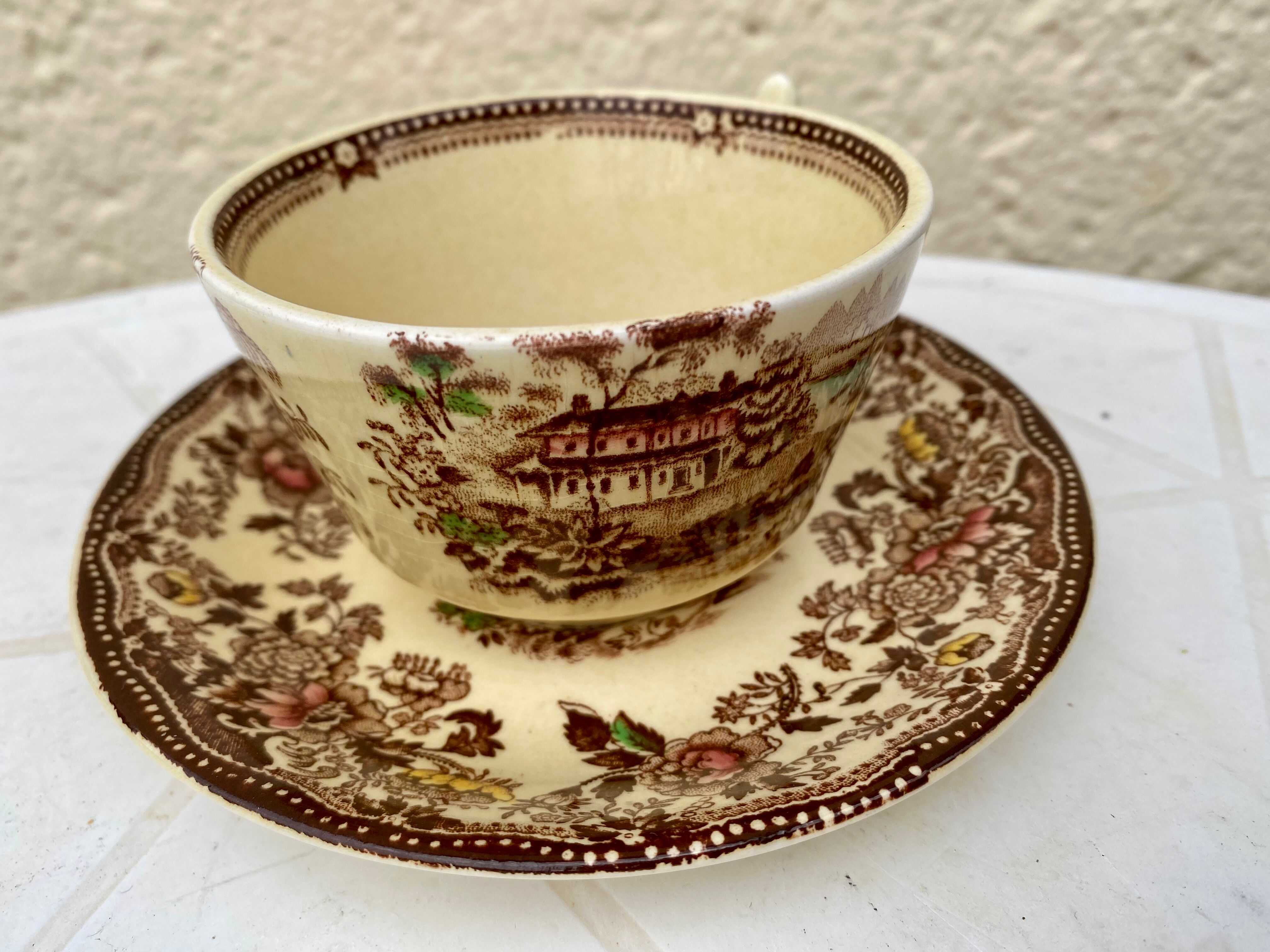Tonquin Staffordshire cup and saucer