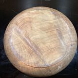 Round dish in olive tree