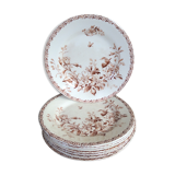 Series of 9 plates Iron Earth