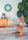 Child's chair Karl Nothhelfer for Casala 1960