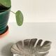 Leaf-shaped metal pocket emptier