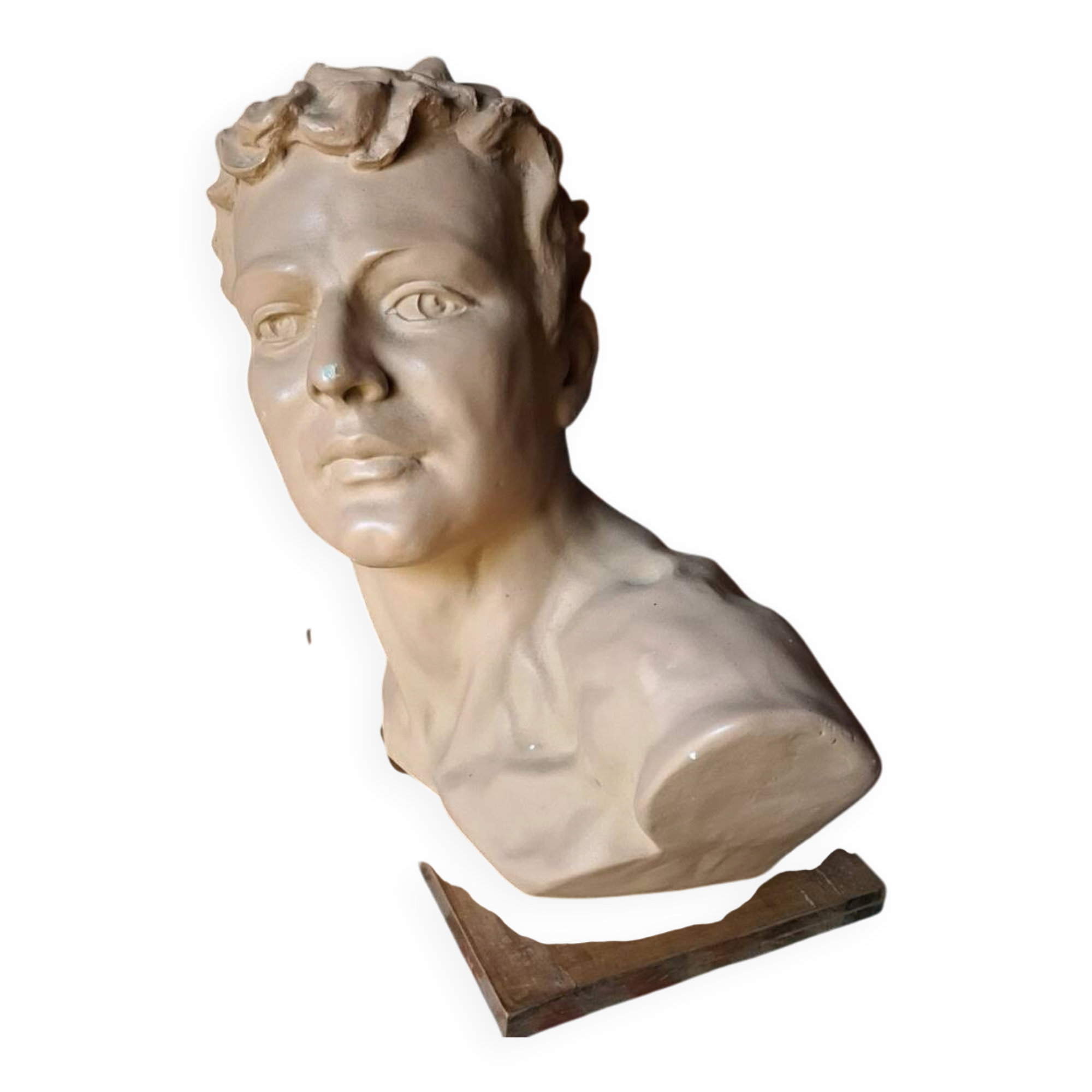 Head of a youth in terracotta