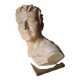 Head of a youth in terracotta