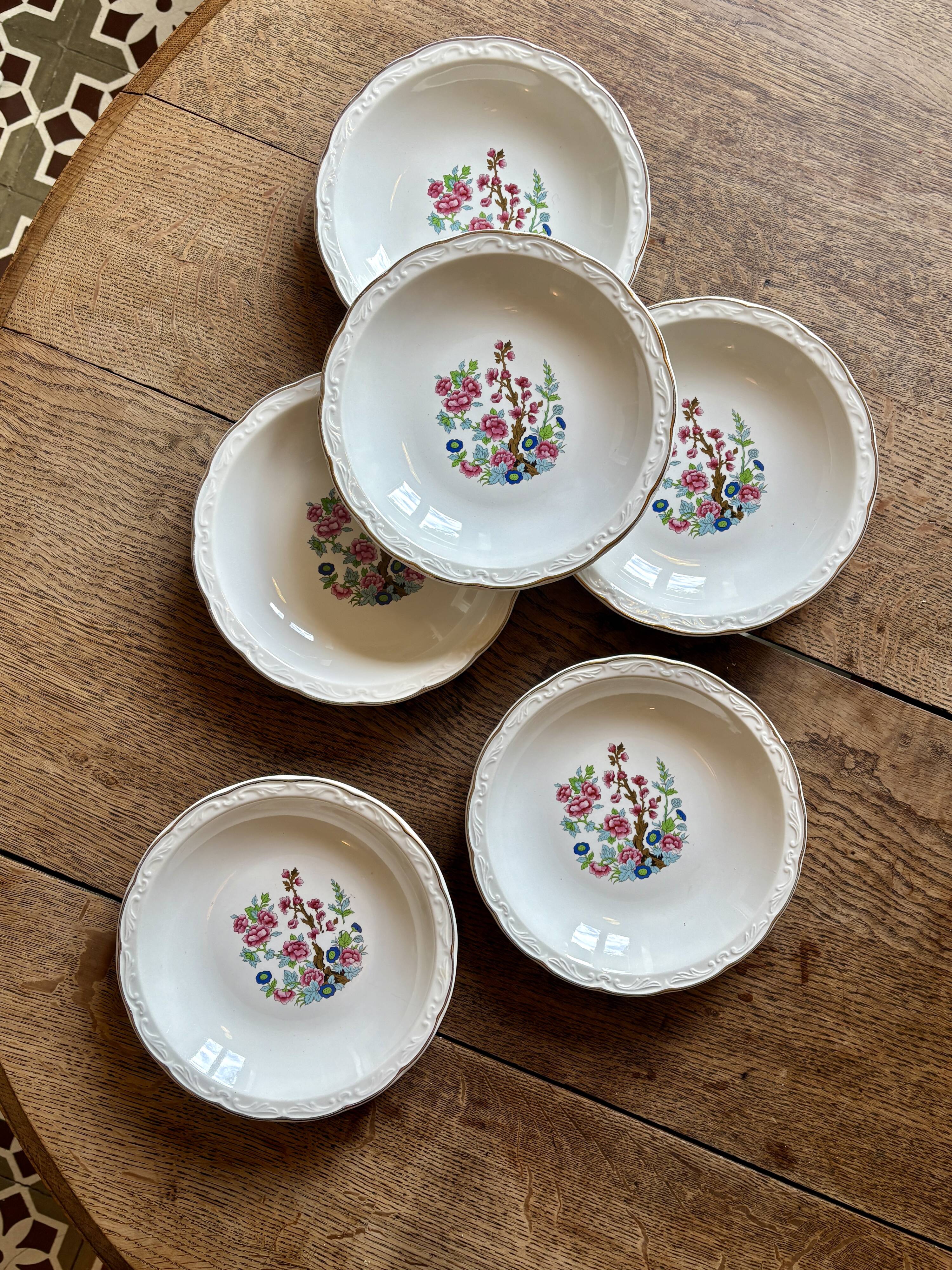 Set of 6 vintage soup plates, "Indian Tree" pattern by Digoin