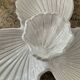Vintage shell dish in glazed terracotta
