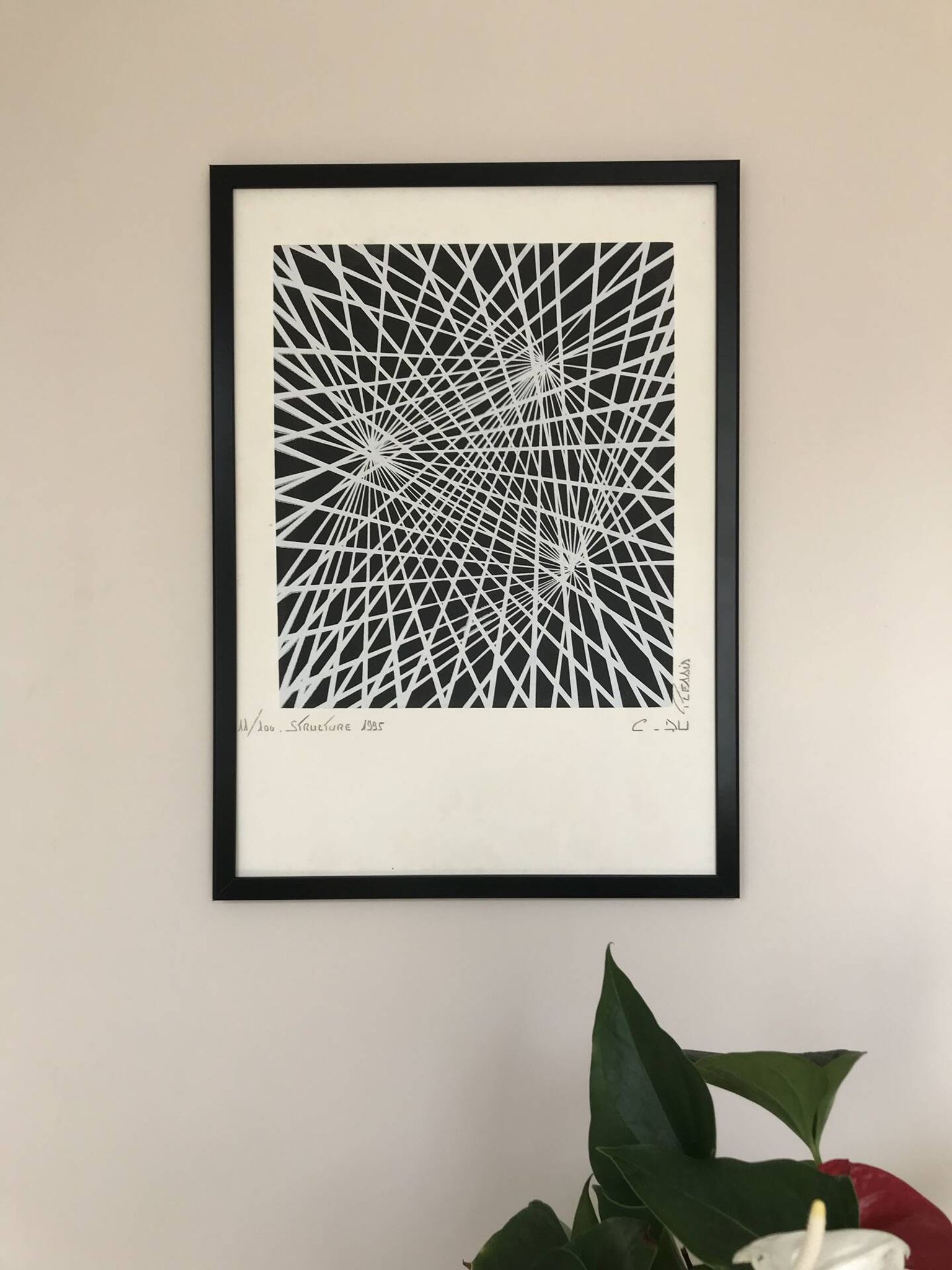 Kinetic Art. Signed and framed lithograph by C. du PLESSIS.