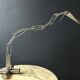Halogen desk lamp "Multix" by Yaacov Kaufman for Lumina, Italy, 1980s