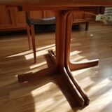 Scandinavian vintage dining room set