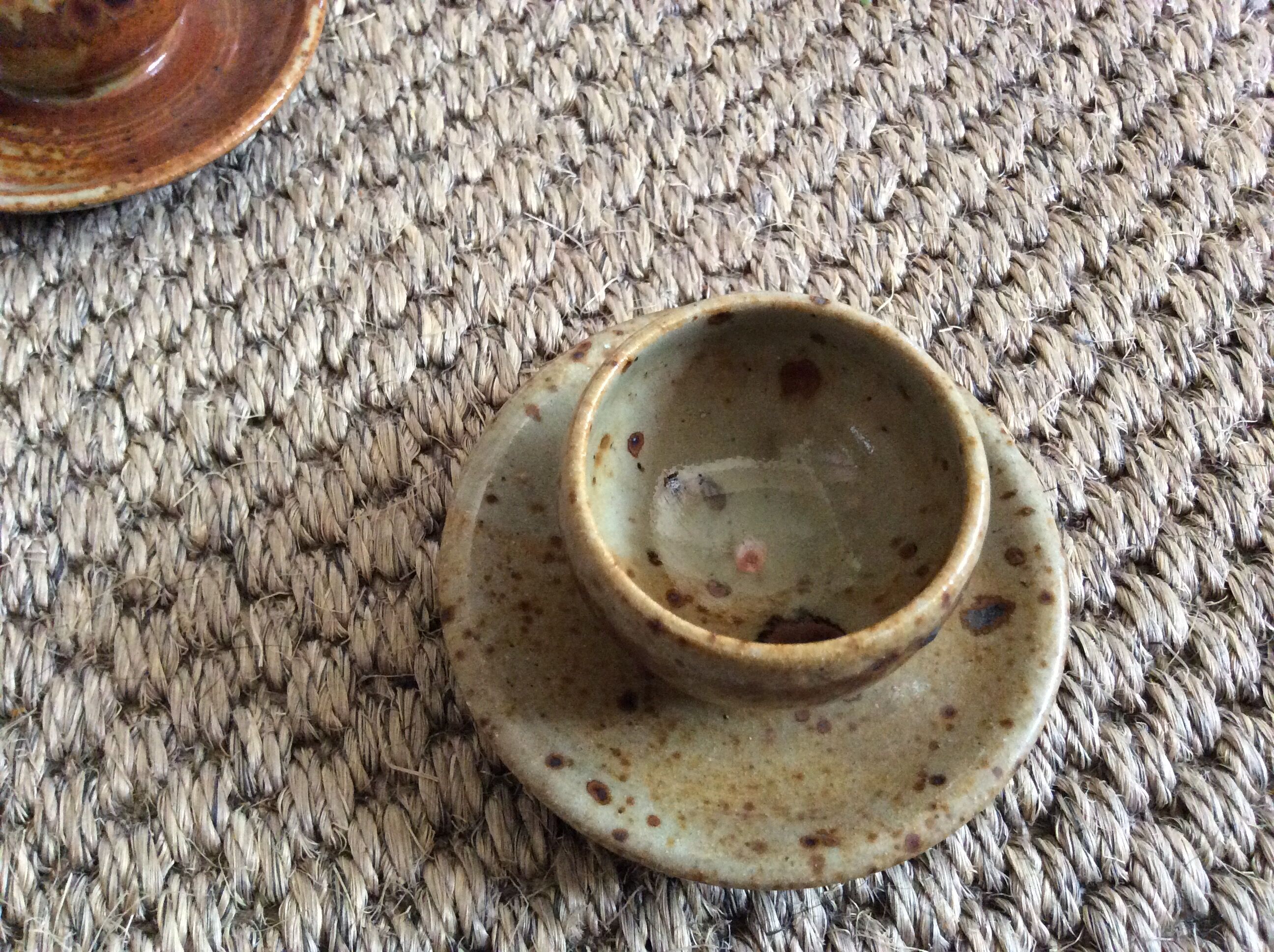 Series of 5 cockroaches