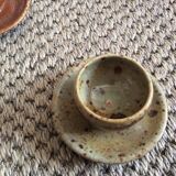 Series of 5 cockroaches