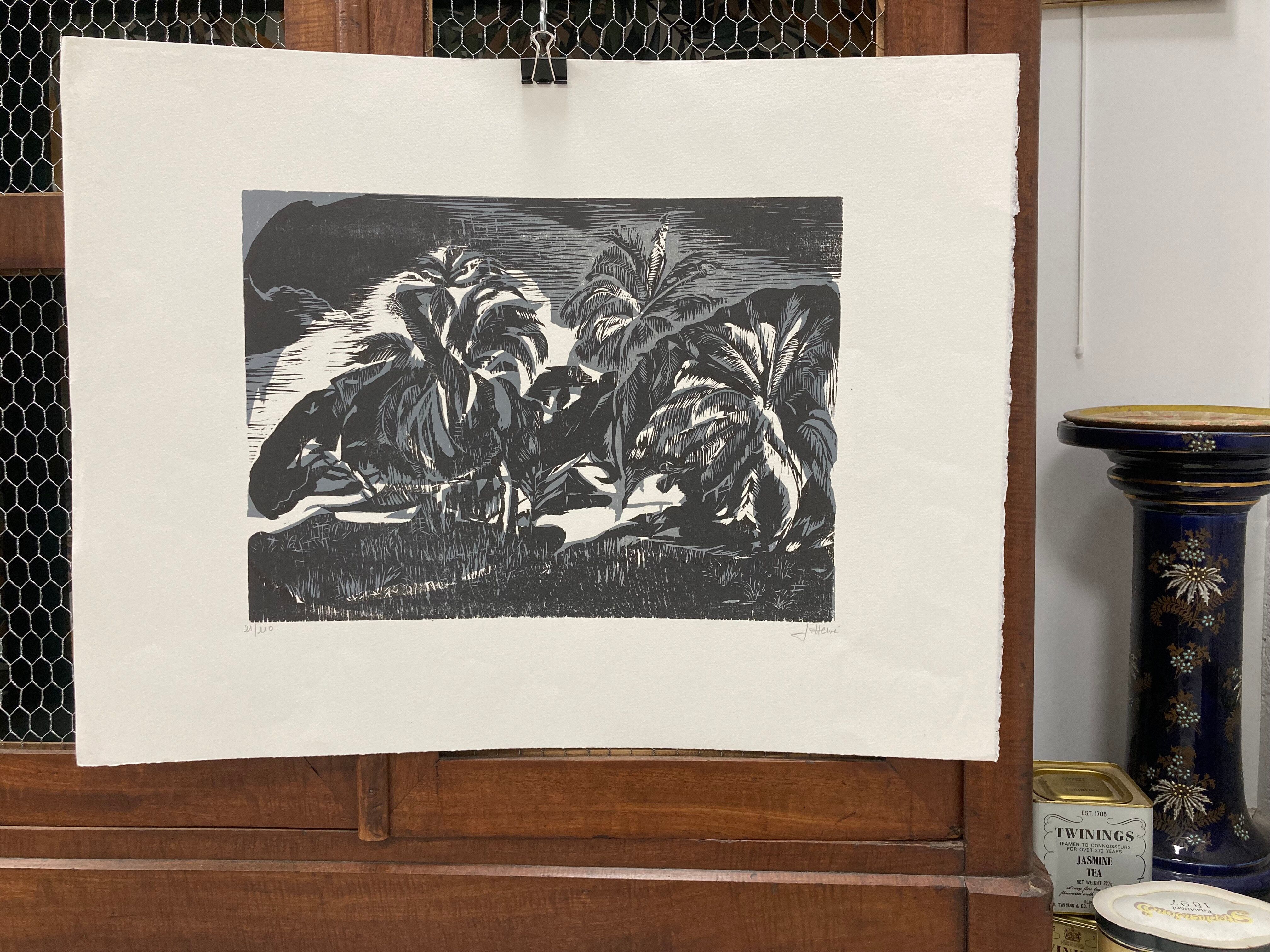 Illustration Le Bois des Cocotiers