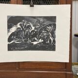 Illustration Le Bois des Cocotiers