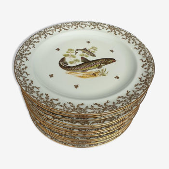 Set 12 plates porcelain gold fine fish fern limousine de Chastagner
