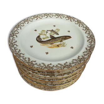 Set 12 plates porcelain gold fine fish fern limousine de Chastagner